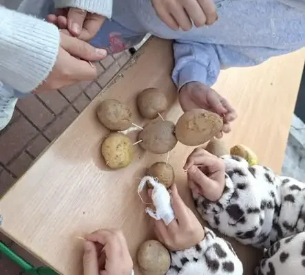 Dzień Ziemniaka w szkole – święto pełne zabawy i pieczonych ziemniaków